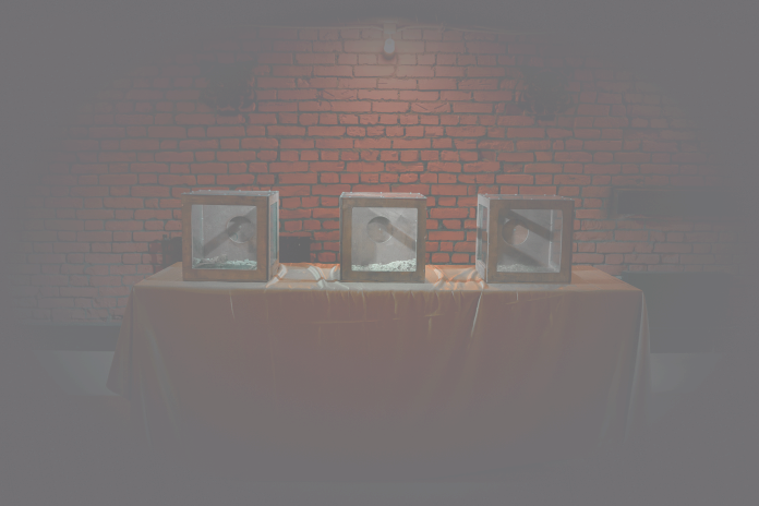 Новый год в стиле Форт Боярд