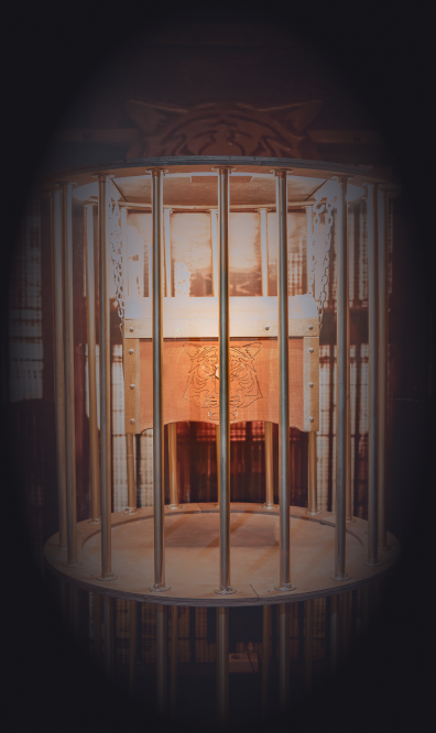 игровое шоу форт боярд